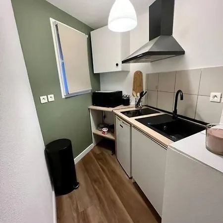 Appartement Plein Centre-Ville Mulhouse Buitenkant foto