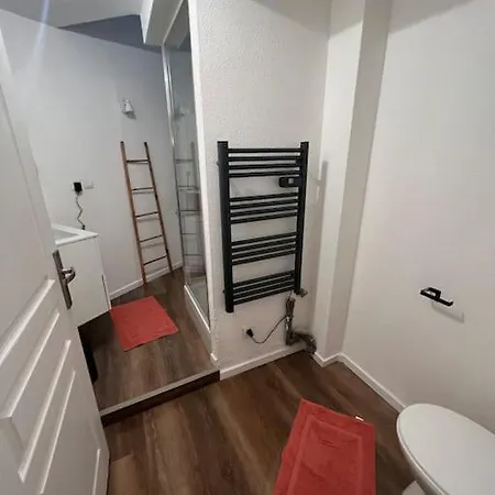 Appartement Plein Centre-Ville Mulhouse Buitenkant foto